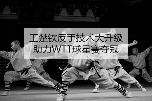 wang-chu-qin-fan-shou-ji-shu-da-sheng-ji-zhu-li-qiu-xing-sai-duo-guan-3-134.jpg