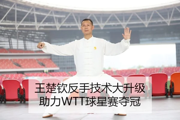 王楚钦反手技术大升级 助力WTT球星赛夺冠