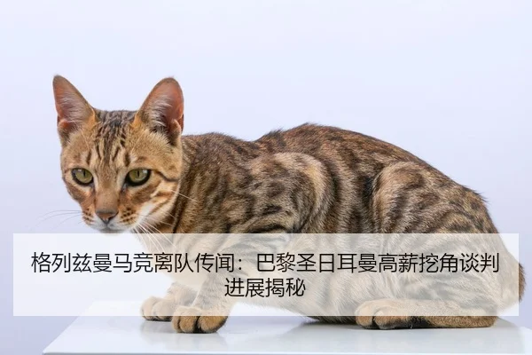 ge-lie-zi-man-ma-jing-li-dui-chuan-wen-ba-li-sheng-ri-er-man-gao-xin-wa-jiao-tan-pan-jin-zhan-jie-mi-2-191.jpg