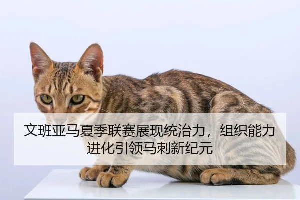 文班亚马夏季联赛展现统治力，组织能力进化引领马刺新纪元