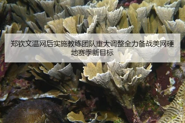 zheng-qin-wen-wen-wang-hou-shi-shi-jiao-lian-tuan-dui-zhong-da-tiao-zheng-quan-li-bei-zhan-mei-wang-ying-di-sai-ji-xin-3-217.jpg