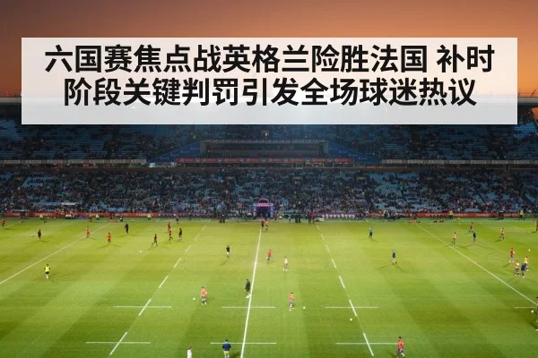 rugby fans stadium
